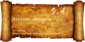 Vallner Antónia névjegykártya