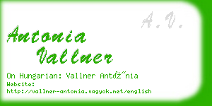 antonia vallner business card